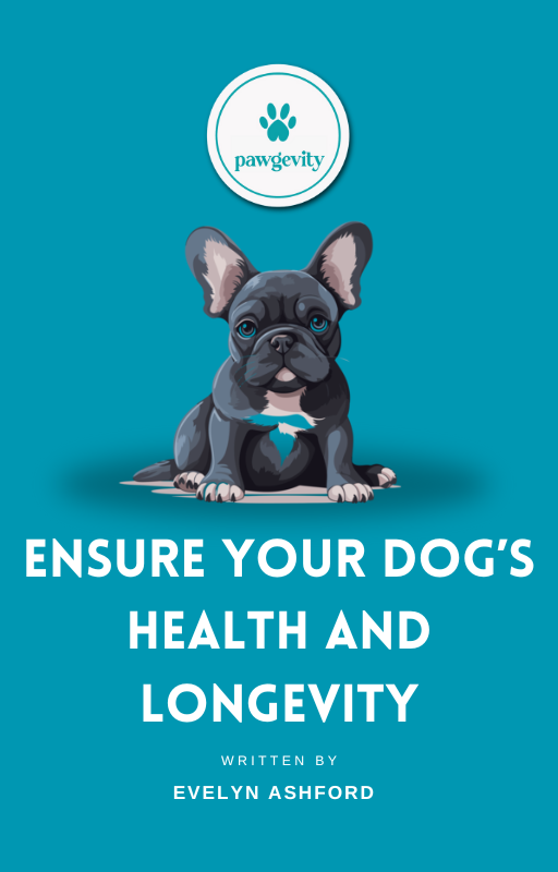 Guide To Ensure Your Dog's Health And Longevity